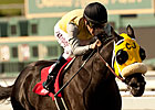 Featured Horse Profile: Great Hot Featured Horse Profile: Great Hot