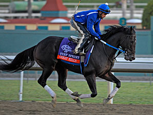 Dozen Set for Hillside Turf in Daytona Stakes Dozen Set for Hillside Turf in Daytona Stakes