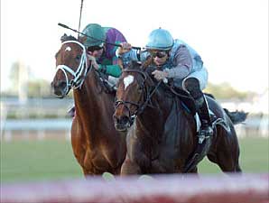 Green Girl Goes Out a Winner Green Girl Goes Out a Winner