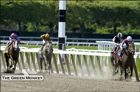The Green Monkey Finishes Third in First Start The Green Monkey Finishes Third in First Start