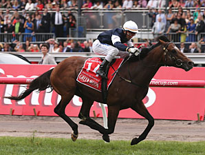 Green Moon Pulls Melbourne Cup Upset Green Moon Pulls Melbourne Cup Upset