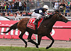 Green Moon Pulls Melbourne Cup Upset Green Moon Pulls Melbourne Cup Upset