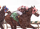 Greenspring Sets Track Record in Gen. George Greenspring Sets Track Record in Gen. George
