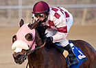 Snow Pushes Four Stakes to Monday at Laurel Snow Pushes Four Stakes to Monday at Laurel