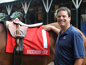 Colored Saddle Cloths for Breeders' Cup Colored Saddle Cloths for Breeders' Cup