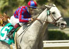 Greg's Gold Heads Five-Horse Ancient Title Line-Up Greg's Gold Heads Five-Horse Ancient Title Line-Up