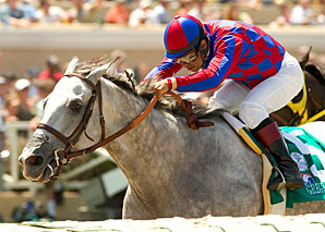 Greg's Gold Favored for On Trust Greg's Gold Favored for On Trust