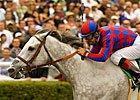 Greg's Gold Retired from Racing Greg's Gold Retired from Racing