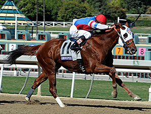 New Owner to Run Groupie Doll in Cigar Mile New Owner to Run Groupie Doll in Cigar Mile