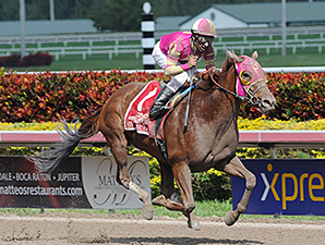 Groupie Doll Roars Out in Hurricane Bertie Groupie Doll Roars Out in Hurricane Bertie