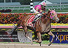 Groupie Doll Roars Out in Hurricane Bertie Groupie Doll Roars Out in Hurricane Bertie