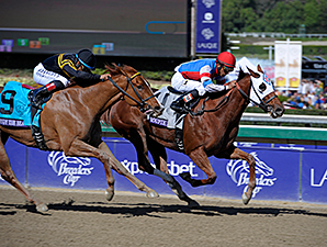 Groupie Doll Repeats in Filly & Mare Sprint Groupie Doll Repeats in Filly & Mare Sprint