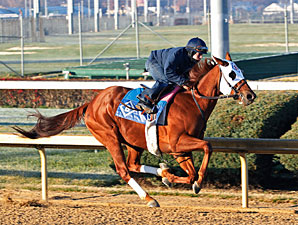 Groupie Doll Headlines Gardenia Stakes Groupie Doll Headlines Gardenia Stakes