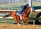 Groupie Doll Headlines Gardenia Stakes Groupie Doll Headlines Gardenia Stakes