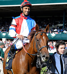 Groupie Doll Ready for Breeders' Cup Groupie Doll Ready for Breeders' Cup