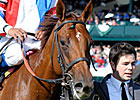Groupie Doll Ready for Breeders' Cup