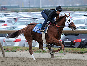 Groupie Doll Breezes Half Mile for Cigar Mile Groupie Doll Breezes Half Mile for Cigar Mile