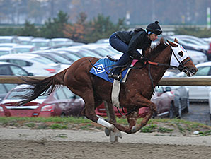 Groupie Doll Breezes at Belmont Park Groupie Doll Breezes at Belmont Park