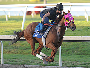 Groupie Doll Works Toward Career Finale Groupie Doll Works Toward Career Finale