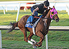 Groupie Doll Works Toward Career Finale Groupie Doll Works Toward Career Finale
