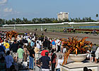 Gulfstream's Casino Request Rejected Gulfstream's Casino Request Rejected