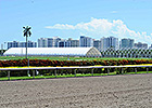 Work Under Way on New Gulfstream Stalls Work Under Way on New Gulfstream Stalls