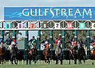 Gulfstream Proposes Year-Round Racing 
