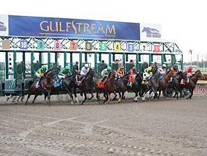 Gulfstream Handle Higher As Duel Continues Gulfstream Handle Higher As Duel Continues