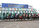 Dates War Resumes with Gulfstream Winter Meet Dates War Resumes with Gulfstream Winter Meet