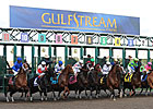 Gulfstream Expands Lead in Handle Gulfstream Expands Lead in Handle