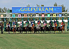 Gulfstream Amends Schedule, to Race Jan. 2