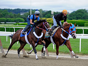 Guyana Star Dweej Works; On to Belmont Guyana Star Dweej Works; On to Belmont
