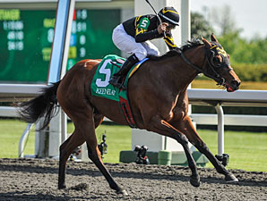 Gypsy Robin Bobs Along for Beaumont Victory Gypsy Robin Bobs Along for Beaumont Victory