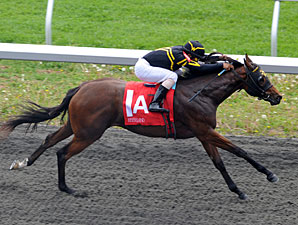 Daaher's First Winner Scores at Keeneland Daaher's First Winner Scores at Keeneland