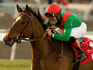 Gypsy's Warning Rallies to Score Matriarch Gypsy's Warning Rallies to Score Matriarch