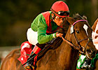 Full Field for Keeneland's Jenny Wiley