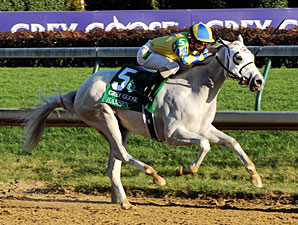 Hansen Set for Holy Bull After Quick Drill Hansen Set for Holy Bull After Quick Drill