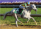 Hansen Set for Holy Bull After Quick Drill Hansen Set for Holy Bull After Quick Drill