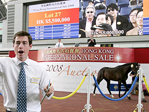 Redoute's Choice Colt Tops HKIS