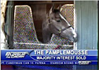 HRTV: Pursuit of the Crown Feb 27