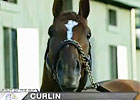 HRTV: Pursuit of the Cup Oct 3 (Video)