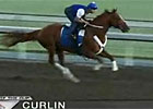 HRTV: Pursuit of the Cup Oct 10 (Video)
