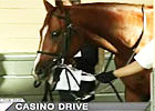 HRTV: Pursuit of the Cup Oct 17 (Video)
