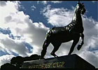 HRTV: Pursuit of the Cup Aug 28 (Video)