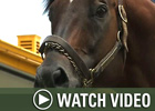 HRTV: Inside Information - 12/17/07 HRTV: Inside Information - 12/17/07