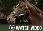 HRTV: Inside Information - 12/24/07 HRTV: Inside Information - 12/24/07