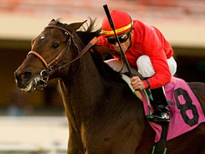 Haimish Hy Finds Right Spot in San Luis Rey Haimish Hy Finds Right Spot in San Luis Rey