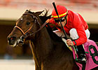 Haimish Hy Finds Right Spot in San Luis Rey