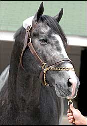 Record-Priced Half Ours to Taylor Made Record-Priced Half Ours to Taylor Made