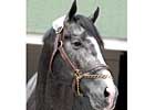 Record-Priced Half Ours to Taylor Made